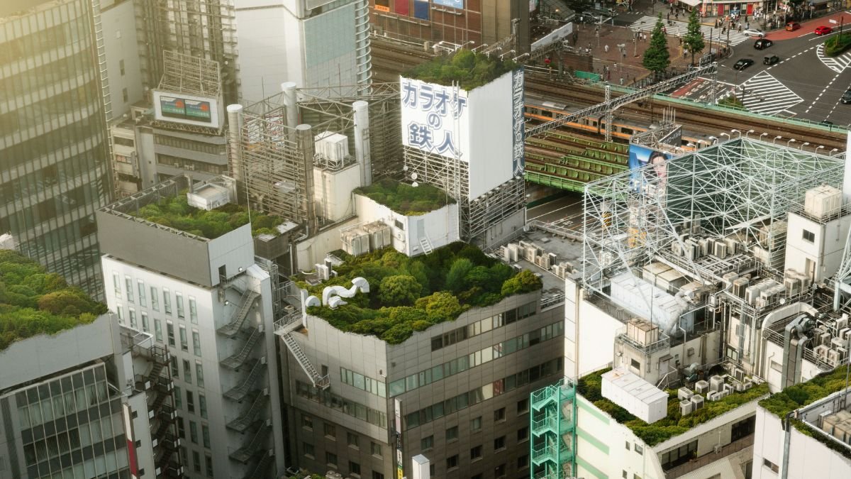 Commercial Construction
