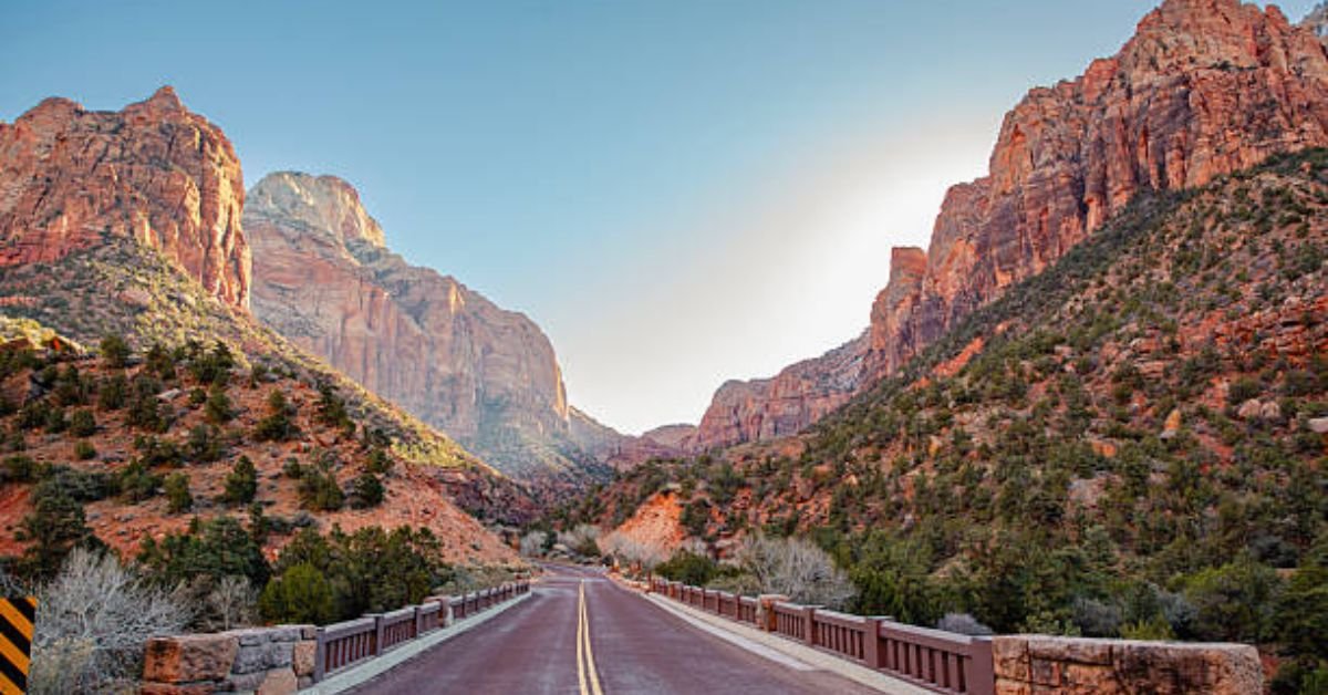 West Coast Gottiline