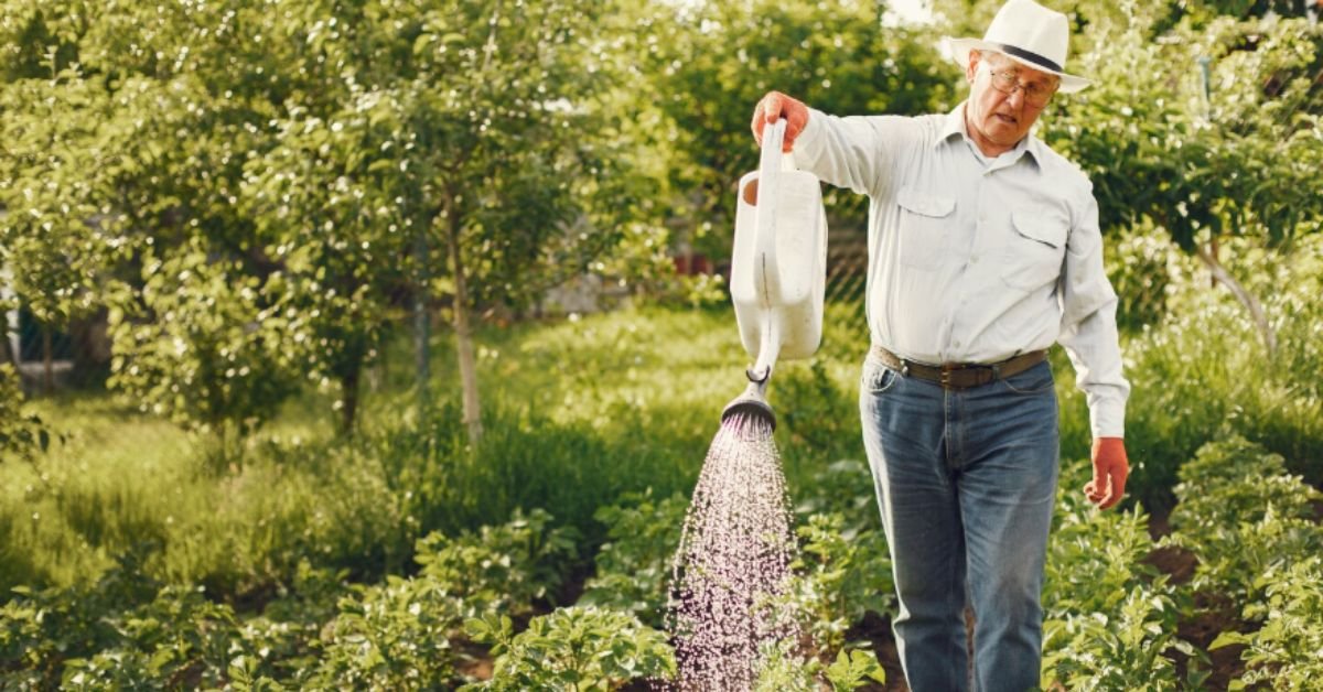 Irrigation Services Atlanta