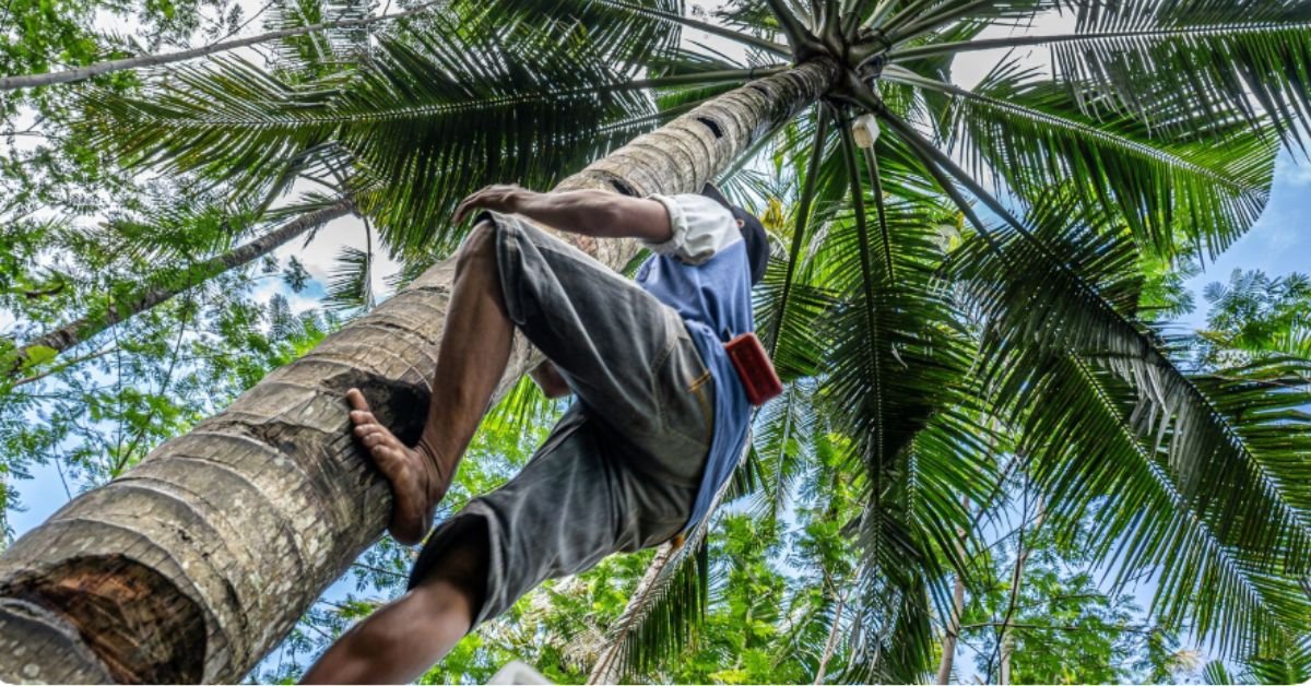 Palm Beach Wildlife Services