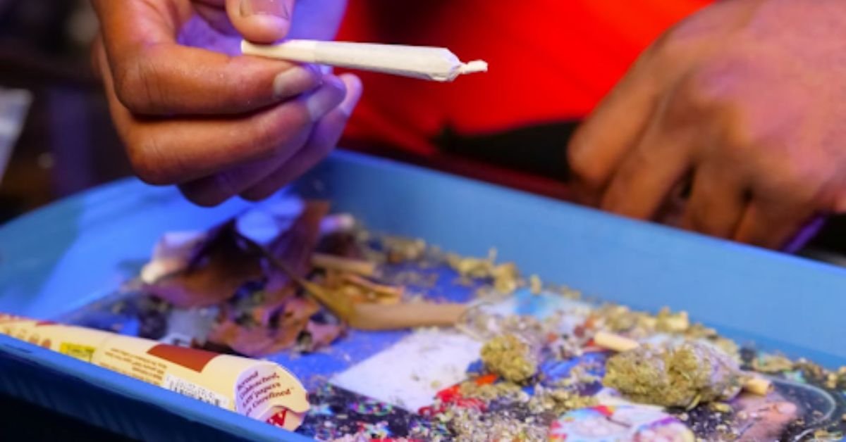 Cannabis Consumption